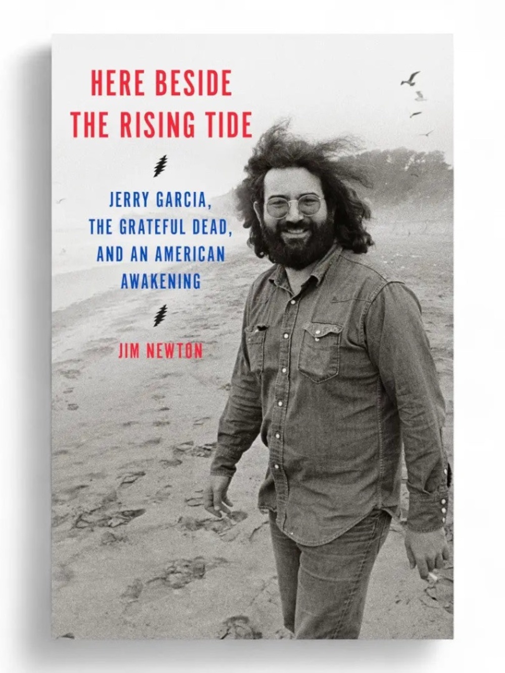 Here Beside the Rising Tide:Jerry Garcia,The Grateful Dead by Jim Newton